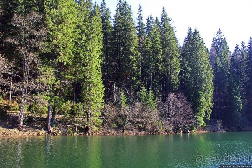 Альбом отзыва "Озеро Синевир — возможно, самое красивое озеро Украины"