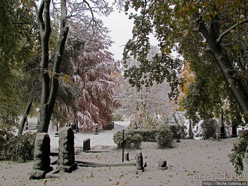 Альбом отзыва "Древнее кладбище у собора Нидаросс, более похожее на парк"