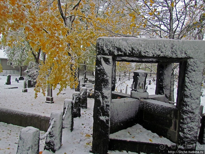 Альбом отзыва "Древнее кладбище у собора Нидаросс, более похожее на парк"