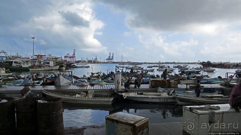 Альбом отзыва "Новая жизнь старого порта Джибути"