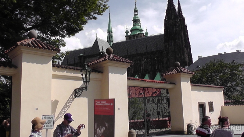 Альбом отзыва "Прага, Чехия.  Лебедь под летним солнцем."