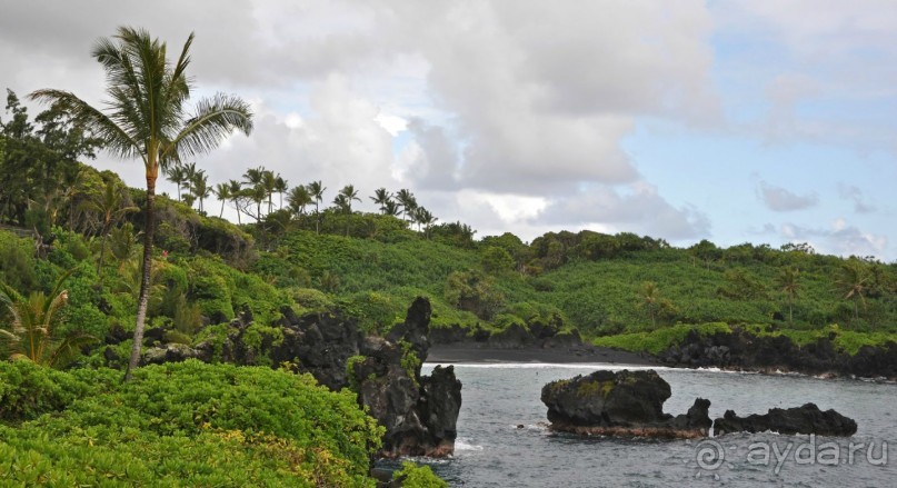 Альбом отзыва "Жизнь кемпера на острове Мауи, Гавайи"