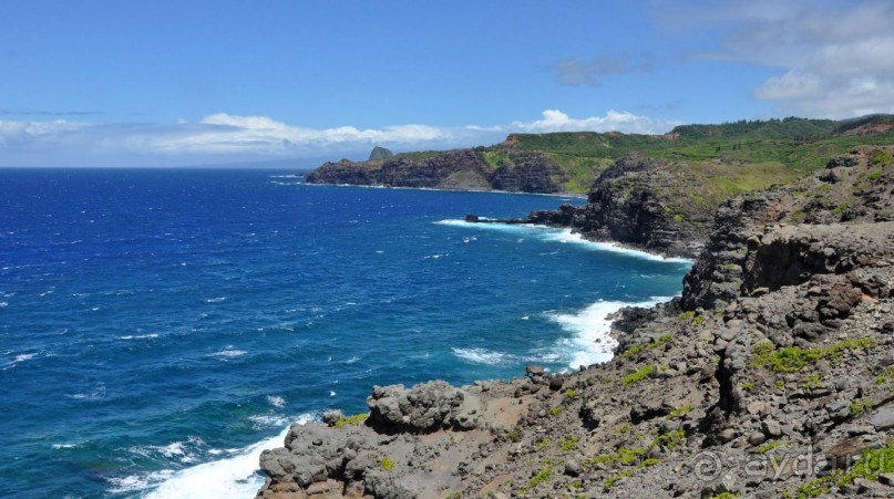 Альбом отзыва "Жизнь кемпера на острове Мауи, Гавайи"
